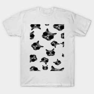 funny cats T-Shirt